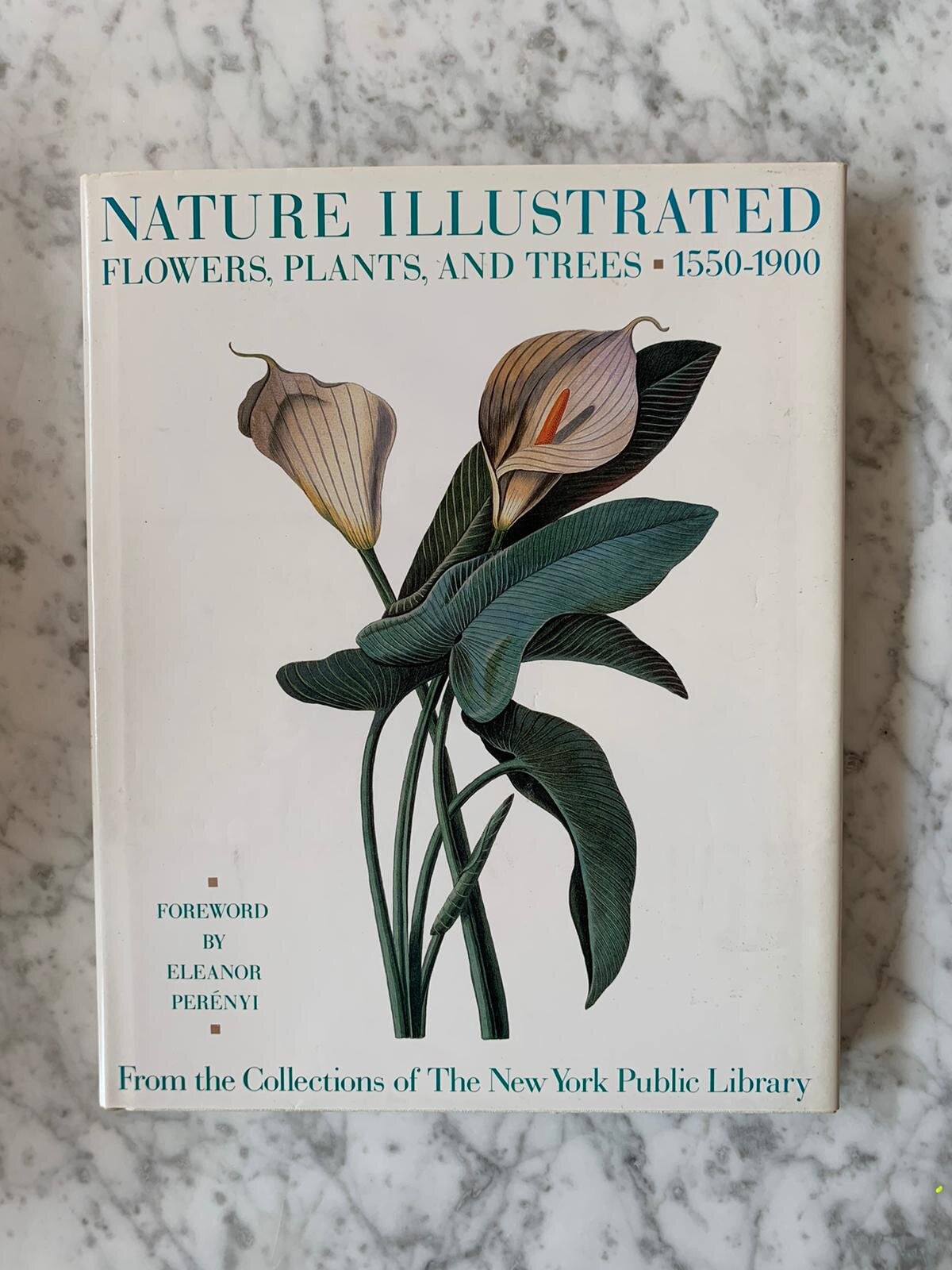 Nature Illustrated