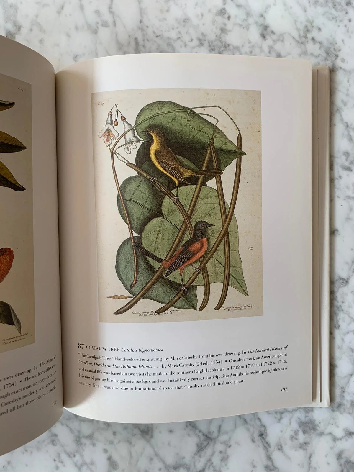 WhatsApp Image 2020-09-24 at 1.17.43 PM.jpeg