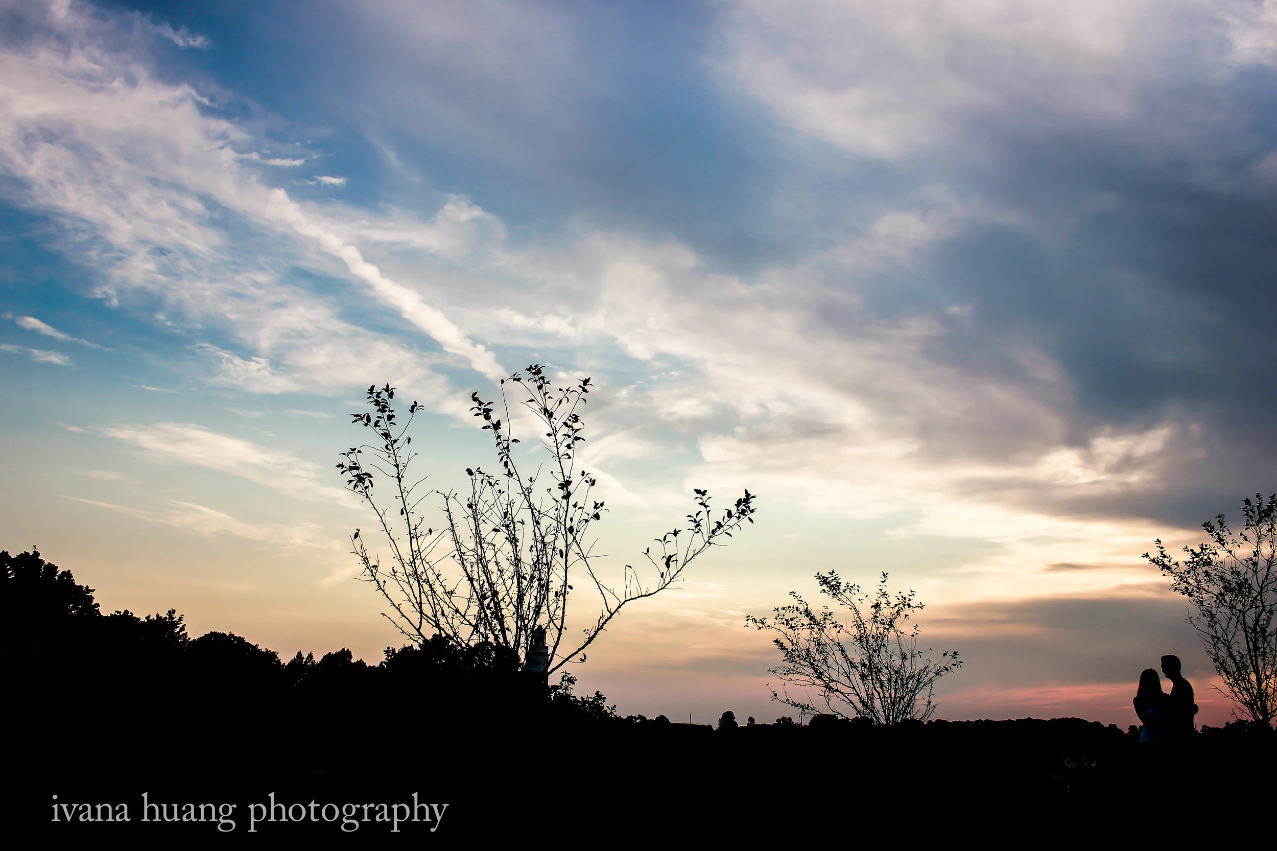 _MG_8565.jpg