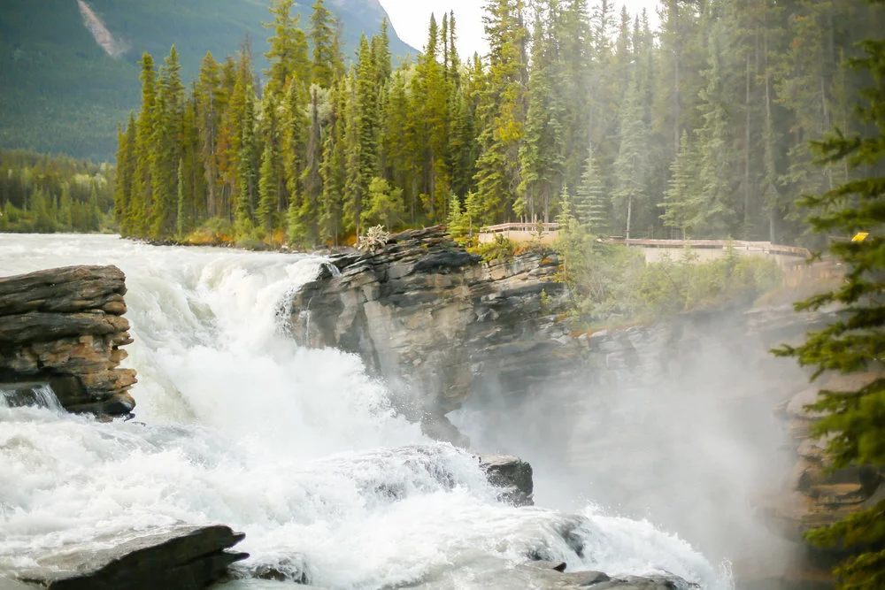 Jasper National Park