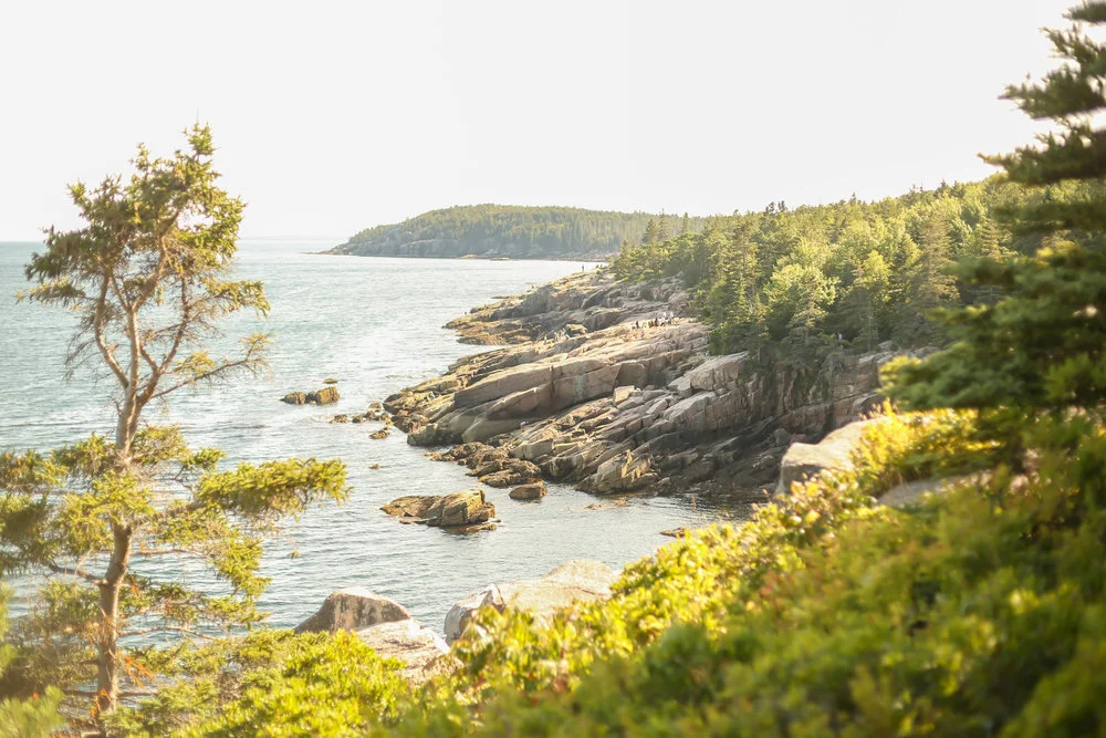 Maine &amp; Boston