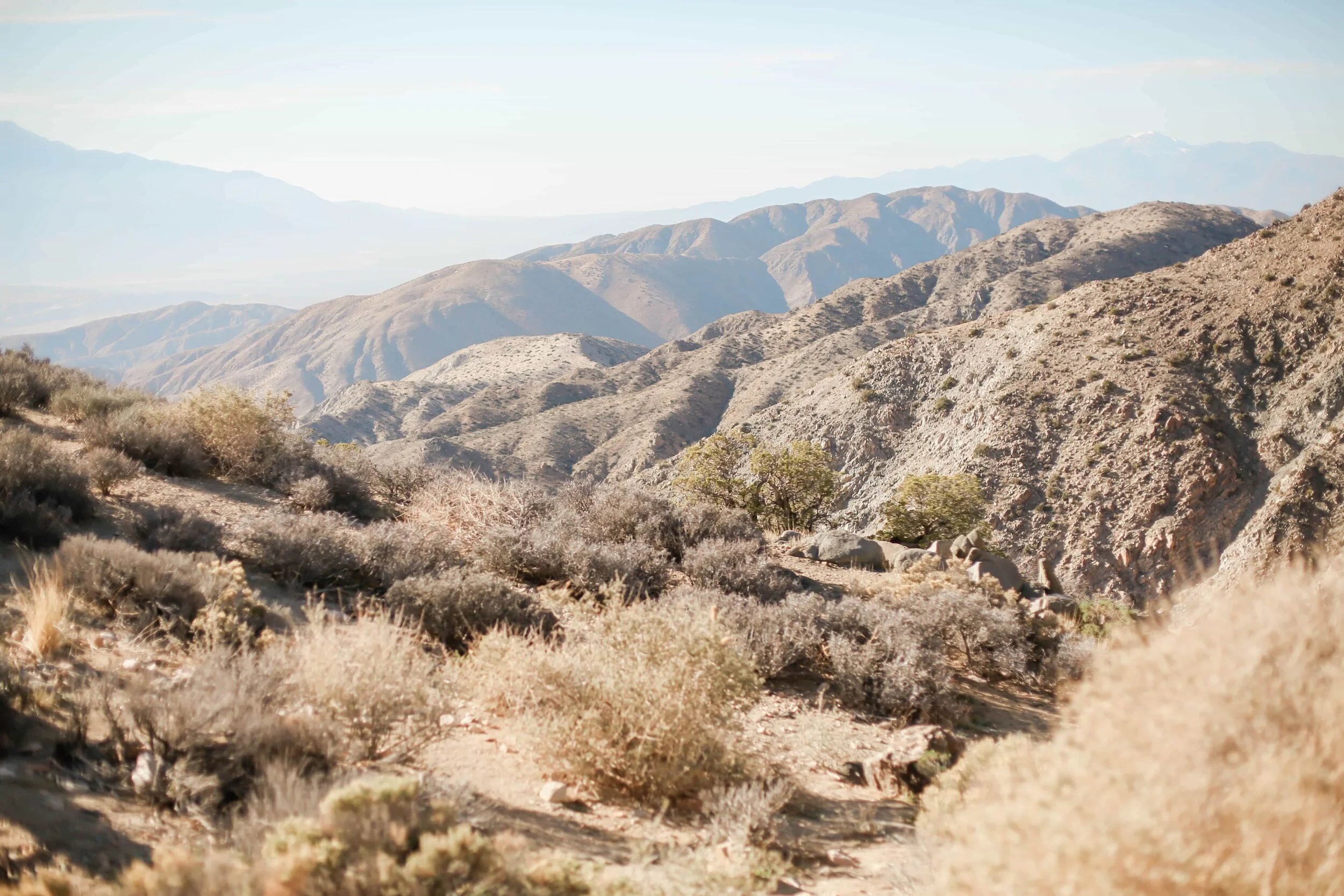 Joshua Tree National Park