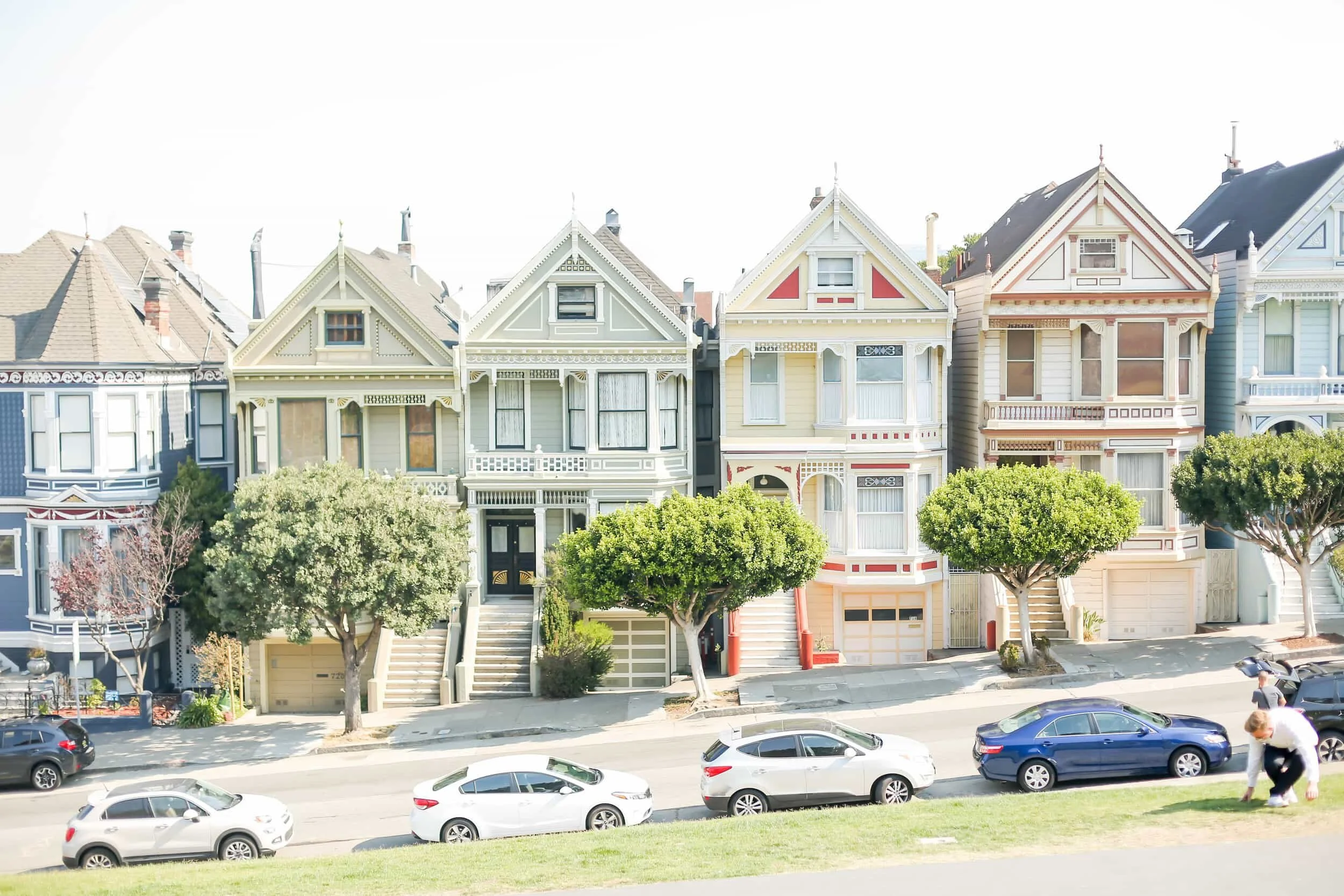 Painted Ladies