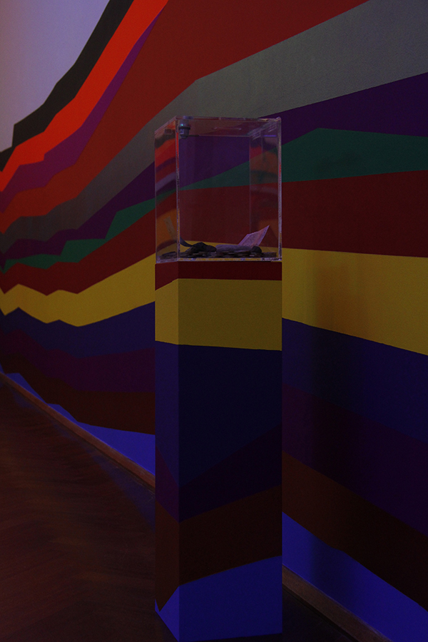 Mikala Dwyer, Garden of Half Life, 2014, University Art Gallery, The University of Sydney, Sydney (photo credit: Alejandra Canales)