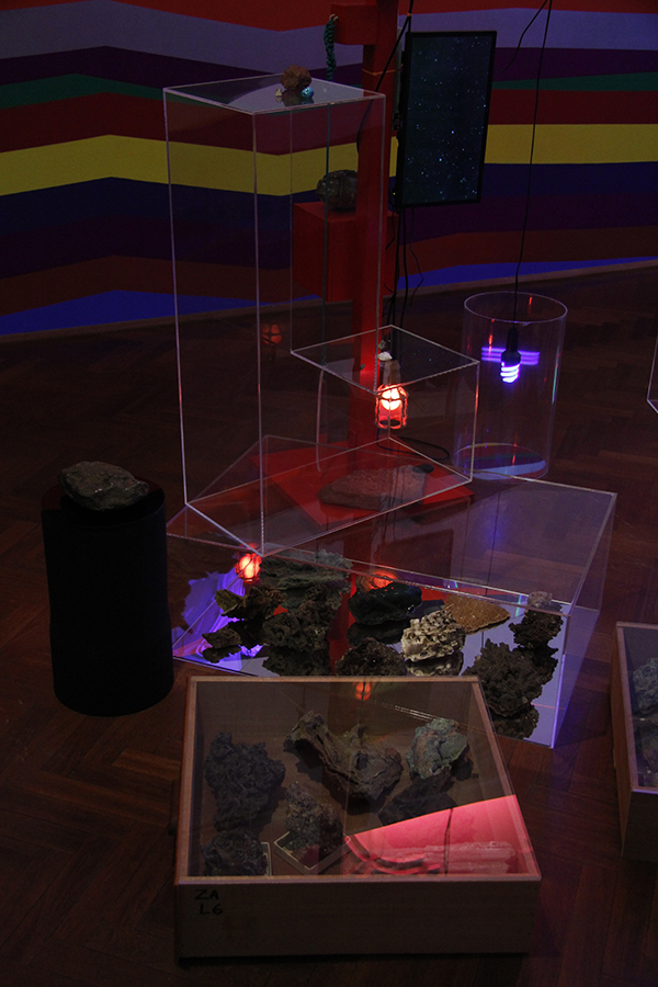 Mikala Dwyer, Garden of Half Life, 2014, University Art Gallery, The University of Sydney, Sydney (photo credit: Alejandra Canales)
