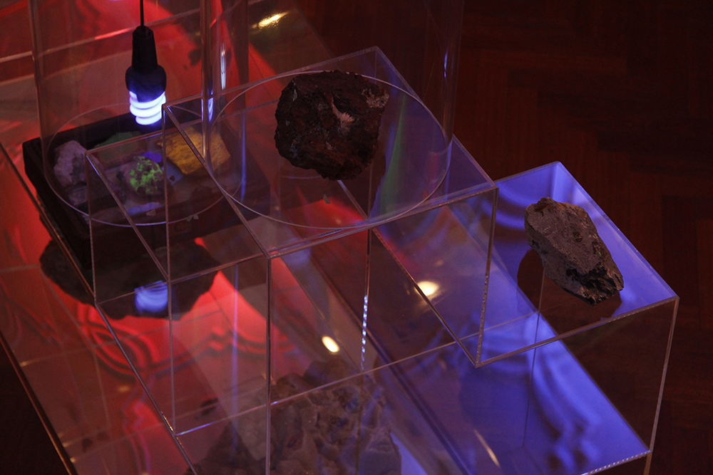 Mikala Dwyer, Garden of Half Life, 2014, University Art Gallery, The University of Sydney, Sydney (photo credit: Alejandra Canales)