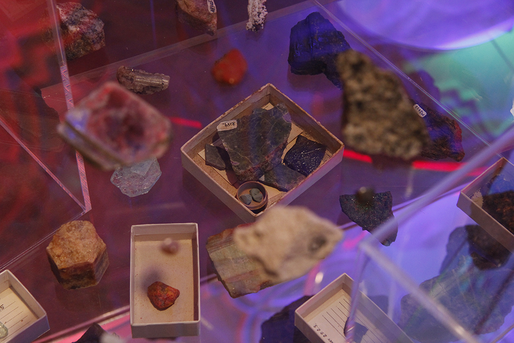 Mikala Dwyer, Garden of Half Life, 2014, University Art Gallery, The University of Sydney, Sydney (photo credit: Alejandra Canales)