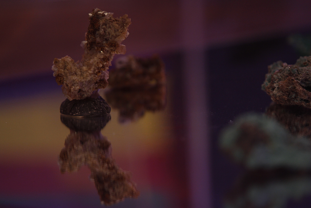 Mikala Dwyer, Garden of Half Life, 2014, University Art Gallery, The University of Sydney, Sydney (photo credit: Alejandra Canales)