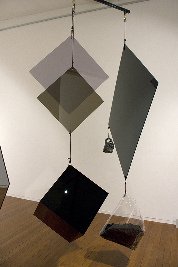 Mikala Dwyer, Divinations for the Real Things, 2012, Roslyn Oxley9 Gallery, Sydney