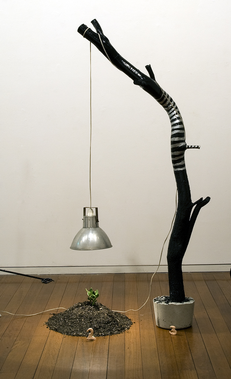 Mikala Dwyer, Outfield, 2009, Roslyn Oxley9 Gallery, Sydney