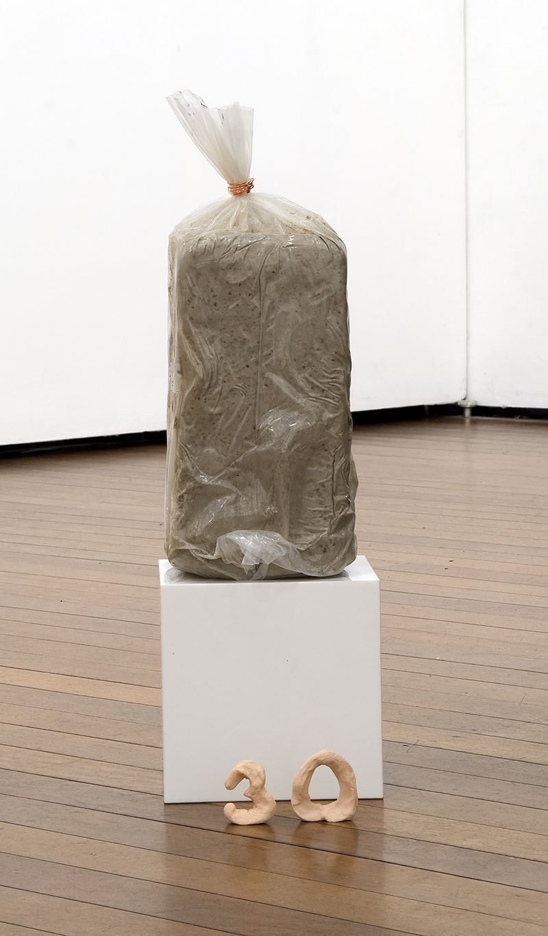Mikala Dwyer, Outfield, 2009, Roslyn Oxley9 Gallery, Sydney