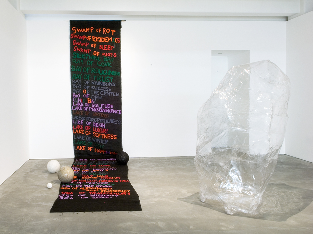 Mikala Dwyer, Swamp Geometry, 2008, Anna Schwartz Gallery, Melbourne