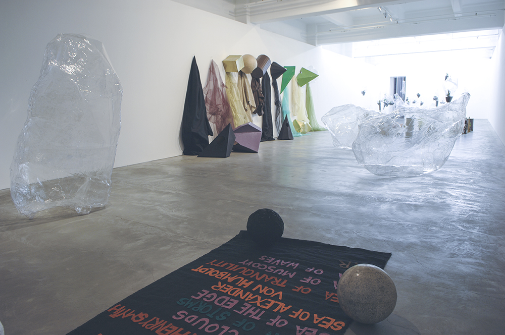 Mikala Dwyer, Swamp Geometry, 2008, Anna Schwartz Gallery, Melbourne