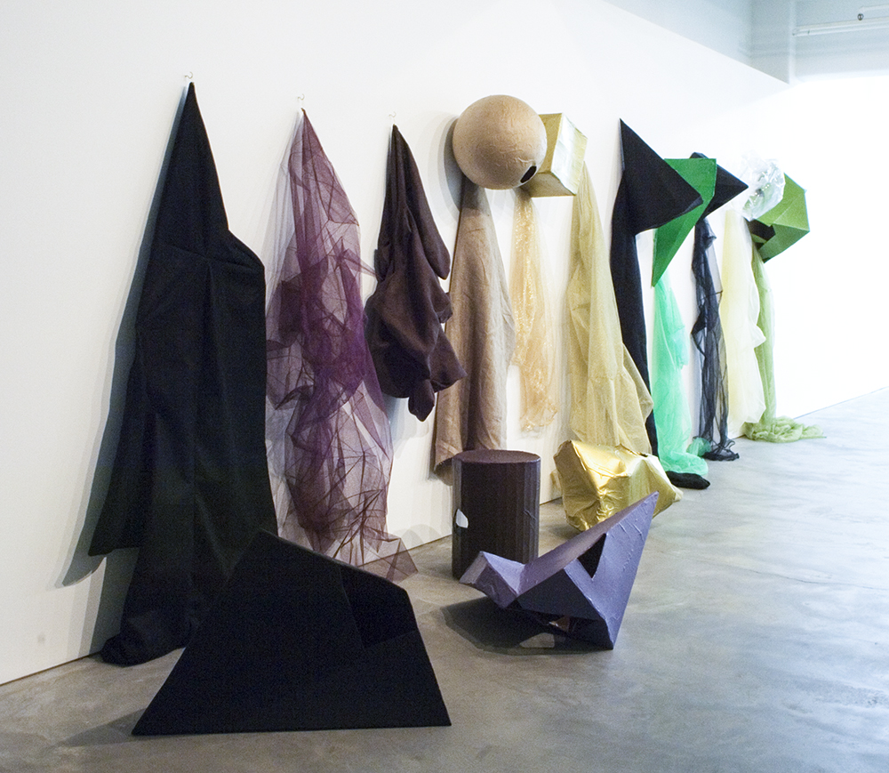 Mikala Dwyer, Swamp Geometry, 2008, Anna Schwartz Gallery, Melbourne