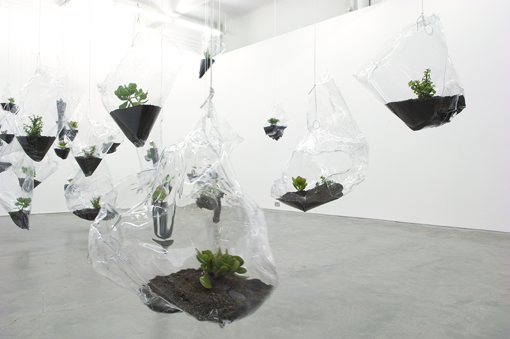 Mikala Dwyer, Swamp Geometry, 2008, Anna Schwartz Gallery, Melbourne
