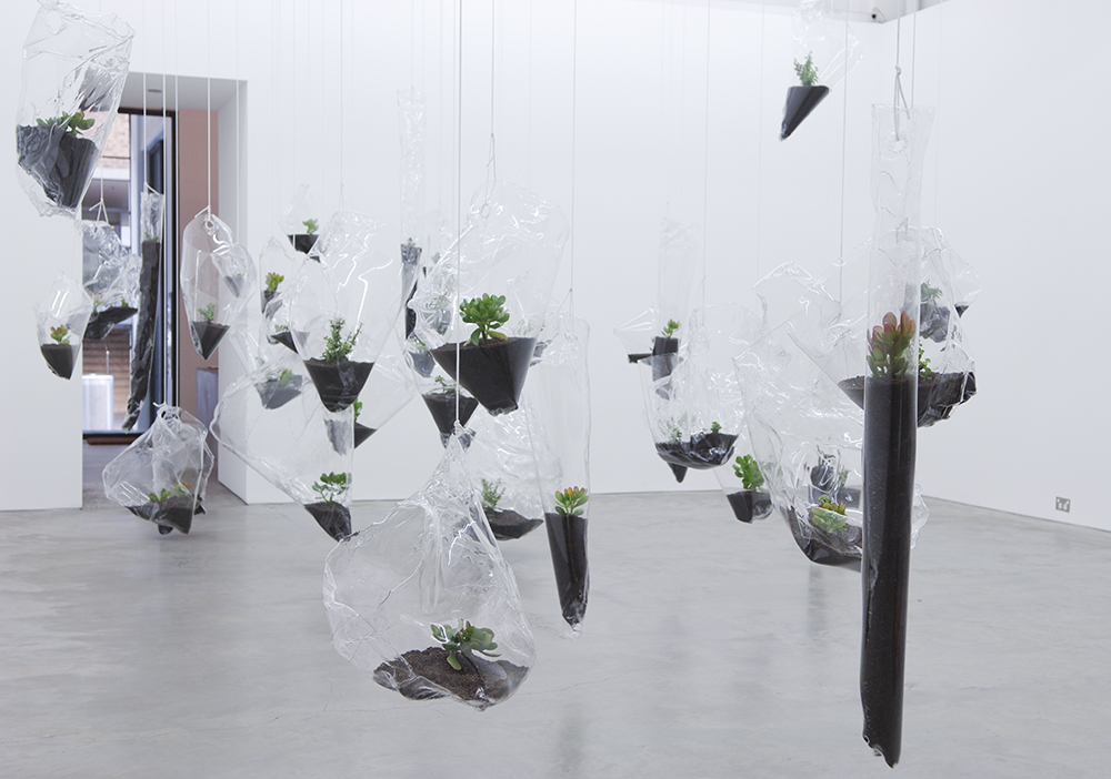 Mikala Dwyer, Swamp Geometry, 2008, Anna Schwartz Gallery, Melbourne