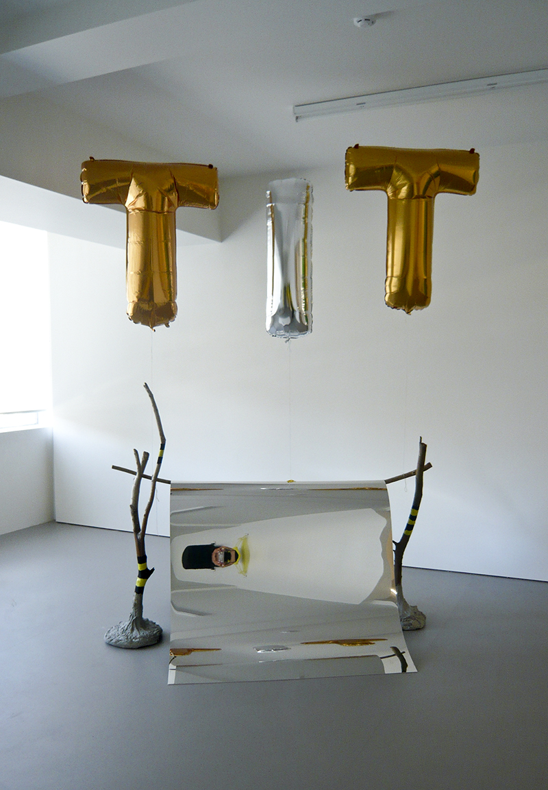 Mikala Dwyer, Mono Clinic, 2008, Hamish McKay Gallery, Melbourne