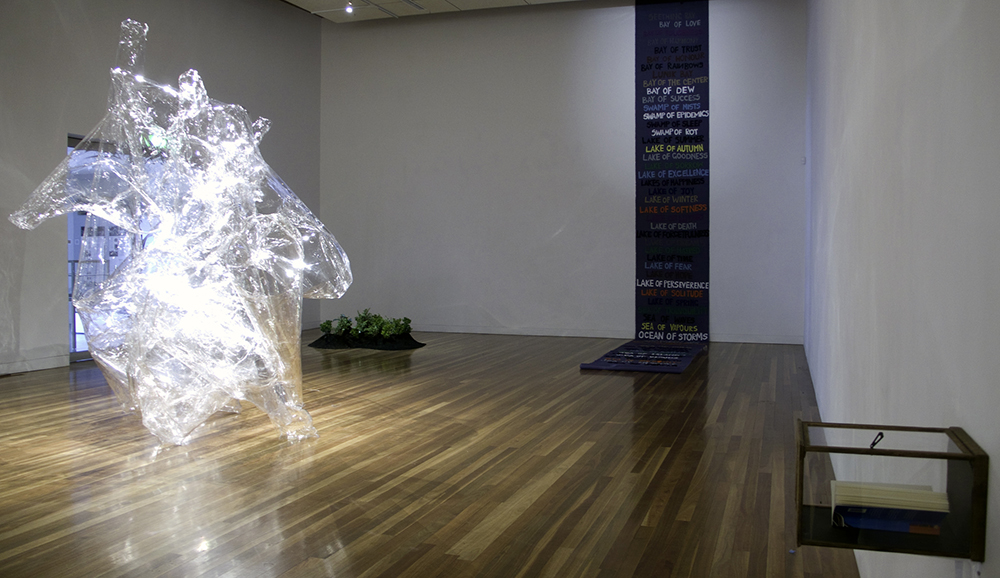 Mikala Dwyer, Moon Garden, 2008, Aratoi Museum, Masterton, New Zealand