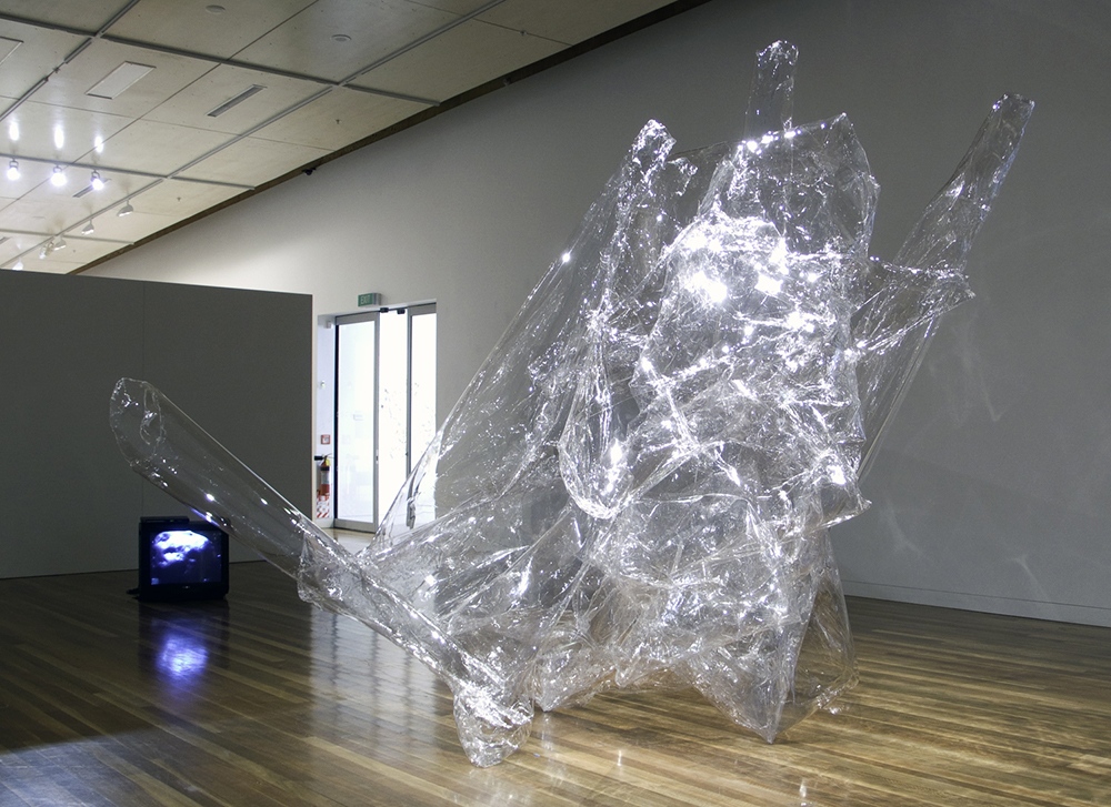 Mikala Dwyer, Moon Garden, 2008, Aratoi Museum, Masterton, New Zealand