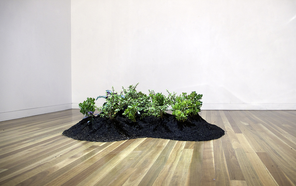 Mikala Dwyer, Moon Garden, 2008, Aratoi Museum, Masterton, New Zealand