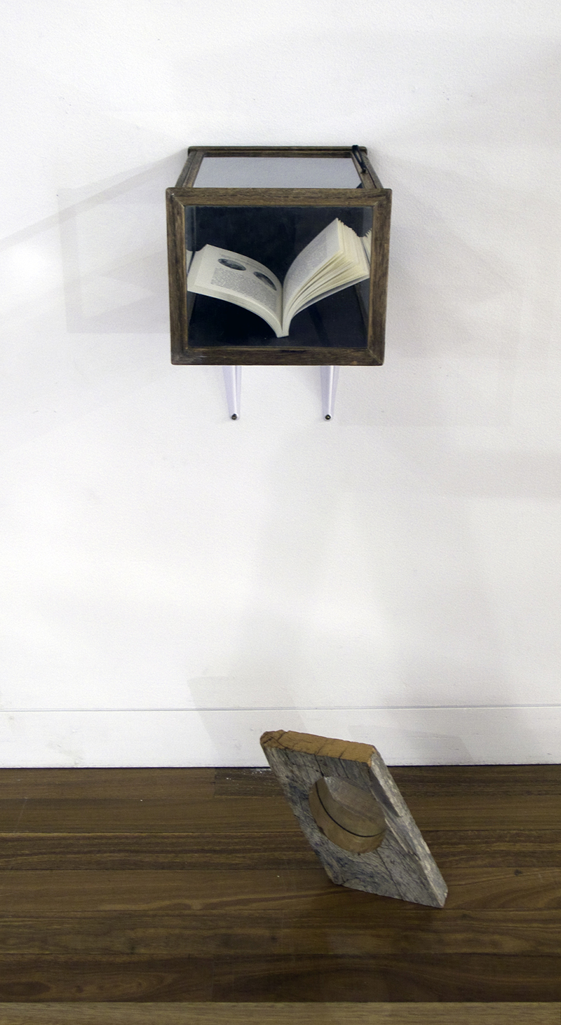 Mikala Dwyer, Moon Garden, 2008, Aratoi Museum, Masterton, New Zealand