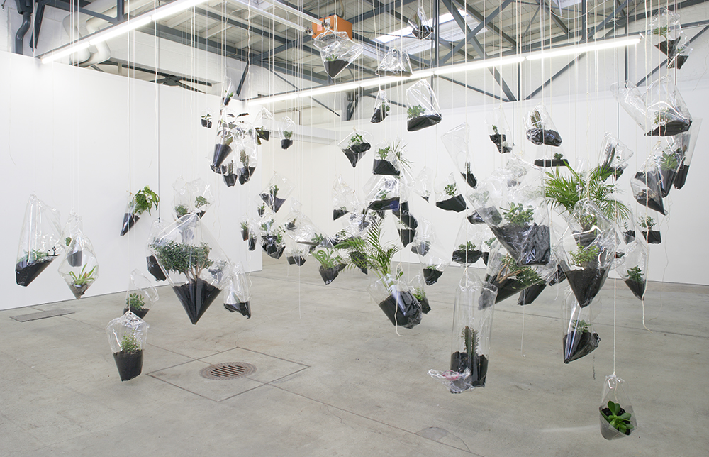 Mikala Dwyer, Black Sun Blue Moon, 2007, Hamish Morrison Galerie, Berlin