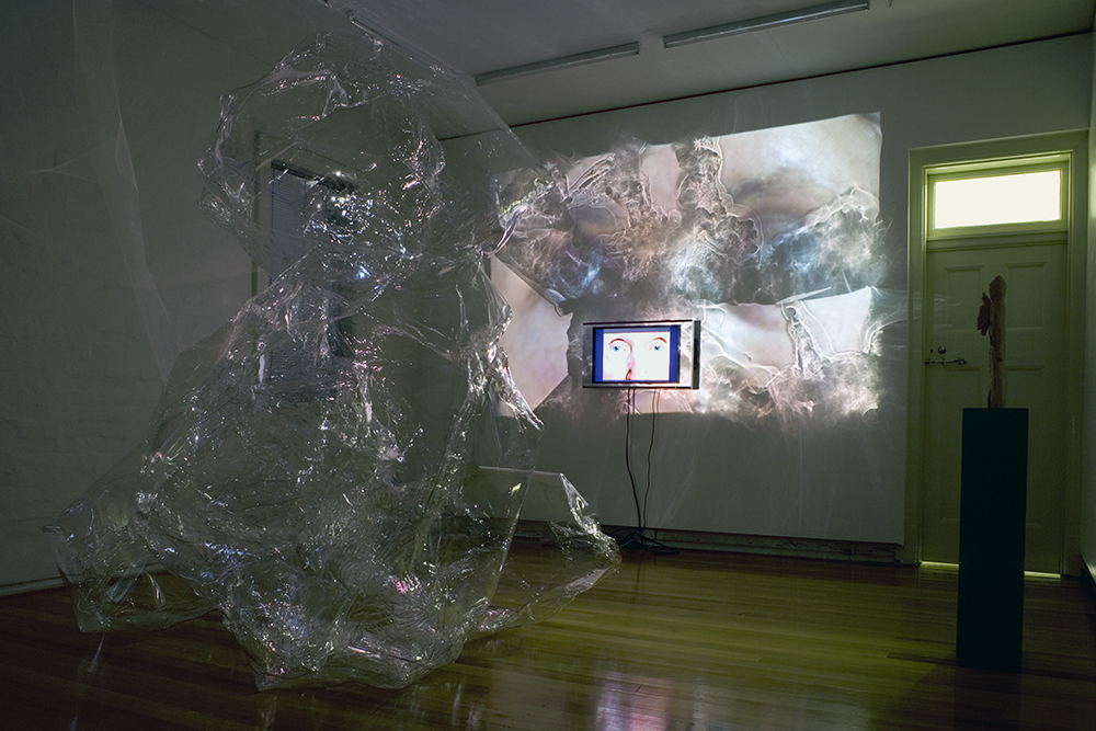 Mikala Dwyer, The Shape of Thoughts Own Making, 2007, Peloton, Sydney
