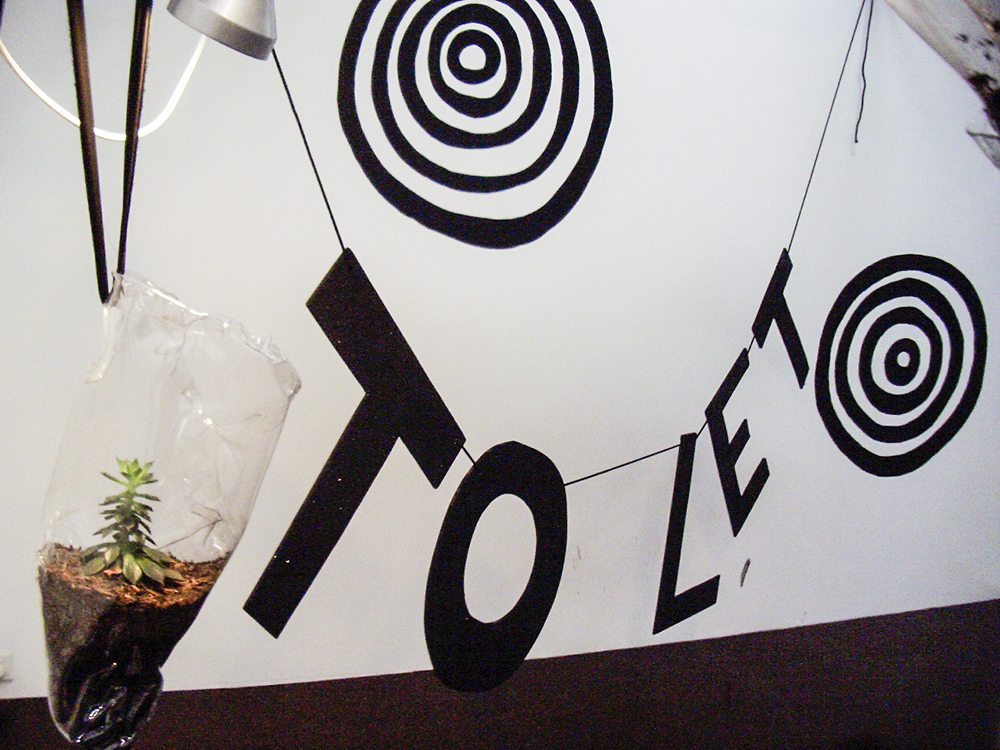 Mikala Dwyer, Only One and a Bit Days to Go, 2005, Darren Knight Gallery, Sydney