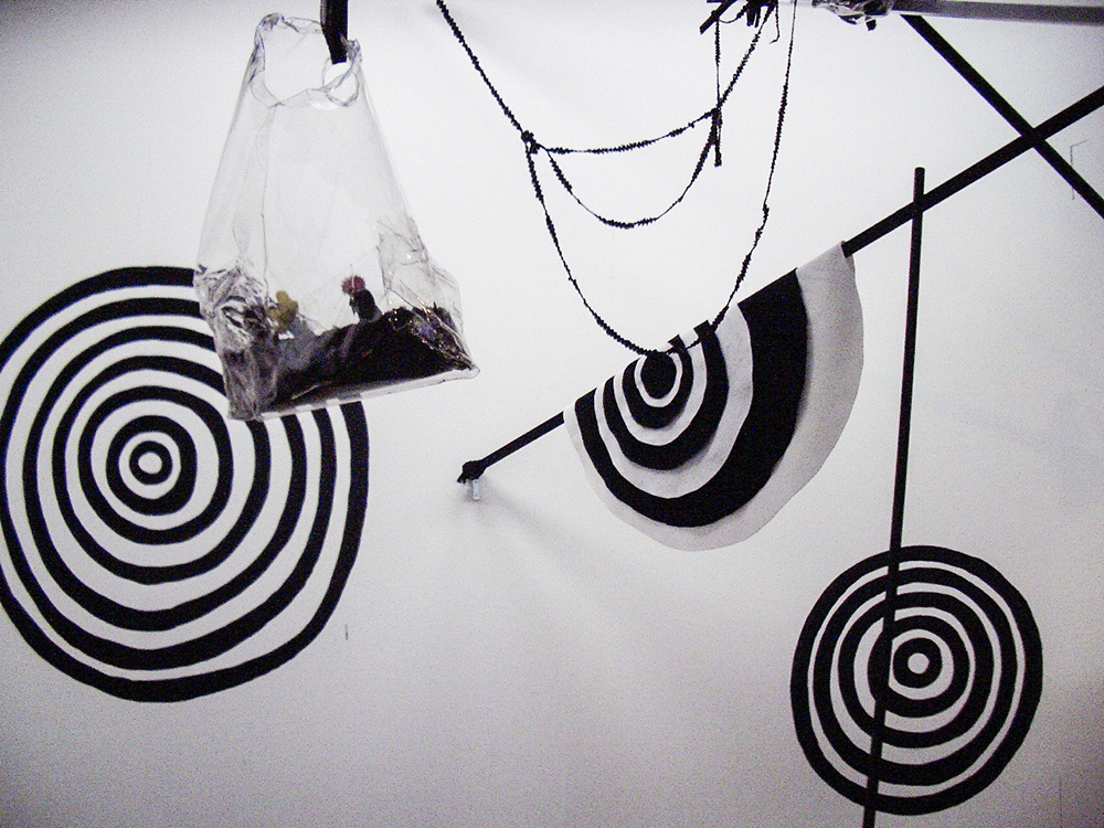Mikala Dwyer, Only One and a Bit Days to Go, 2005, Darren Knight Gallery, Sydney