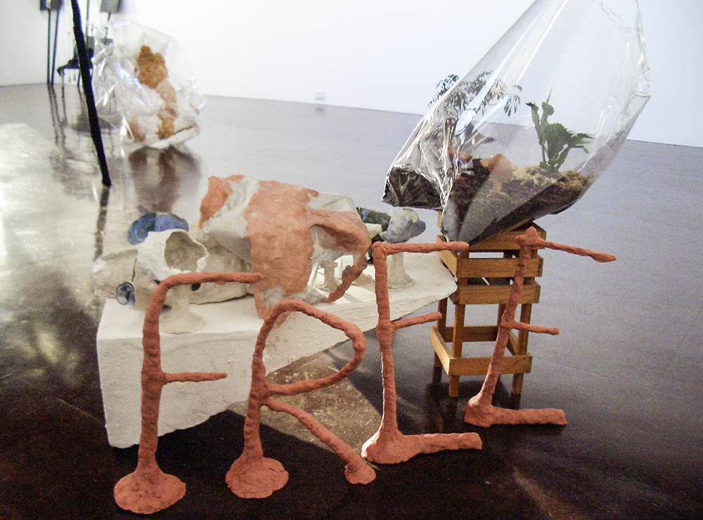 Mikala Dwyer, Only One and a Bit Days to Go, 2005, Darren Knight Gallery, Sydney