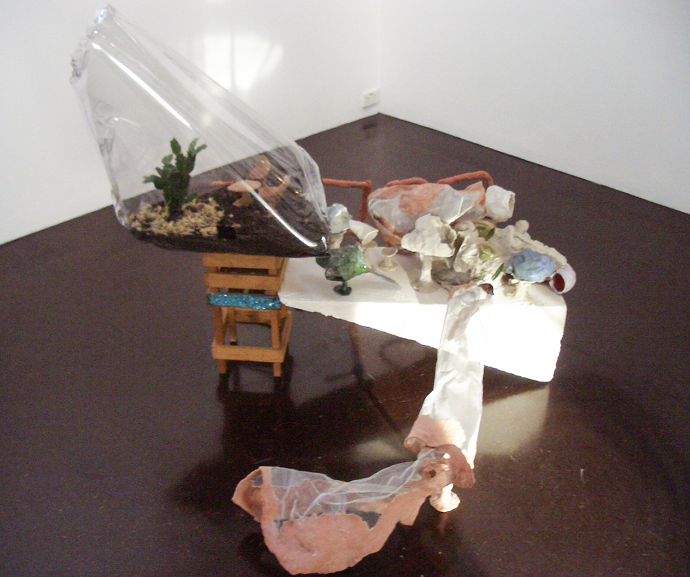 Mikala Dwyer, Only One and a Bit Days to Go, 2005, Darren Knight Gallery, Sydney
