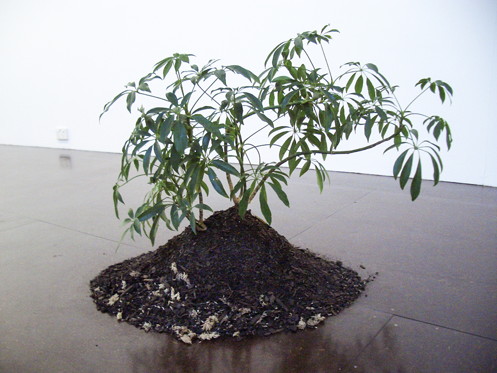 Mikala Dwyer, Only One and a Bit Days to Go, 2005, Darren Knight Gallery, Sydney