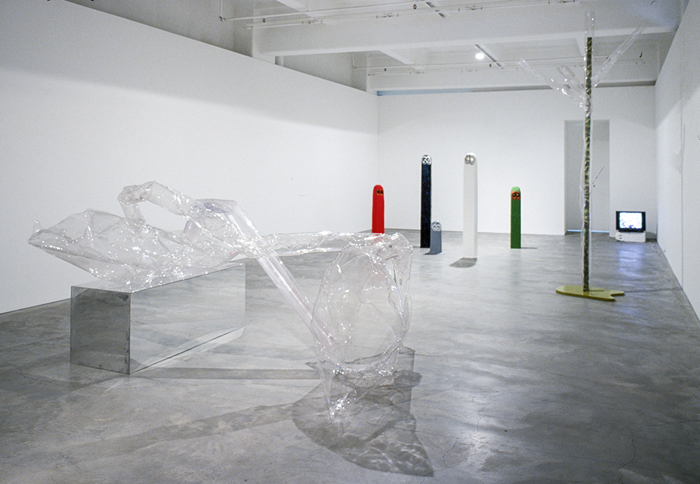 Mikala Dwyer, Flowers, Flies and Someone Else, 2004, Anna Schwartz Gallery, Melbourne