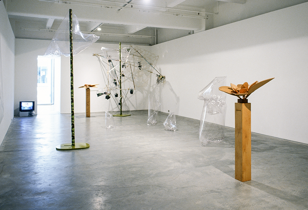 Mikala Dwyer, Flowers, Flies and Someone Else, 2004, Anna Schwartz Gallery, Melbourne