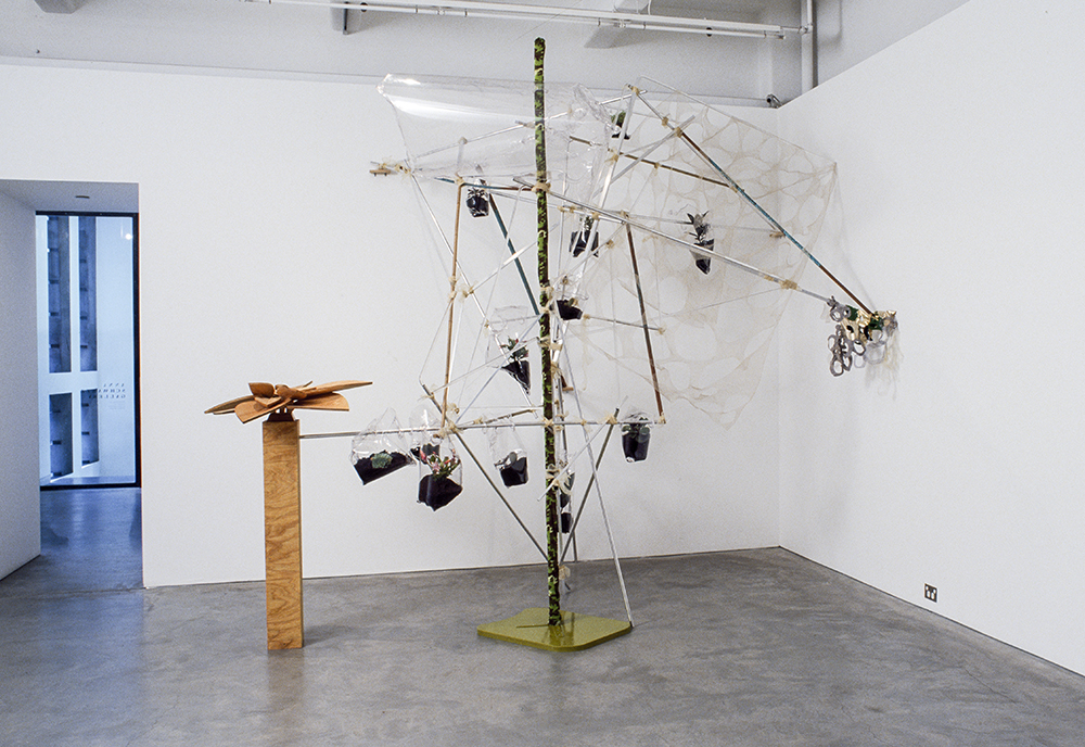 Mikala Dwyer, Flowers, Flies and Someone Else, 2004, Anna Schwartz Gallery, Melbourne