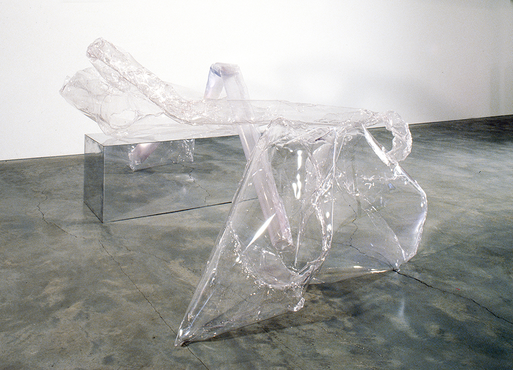 Mikala Dwyer, Flowers, Flies and Someone Else, 2004, Anna Schwartz Gallery, Melbourne