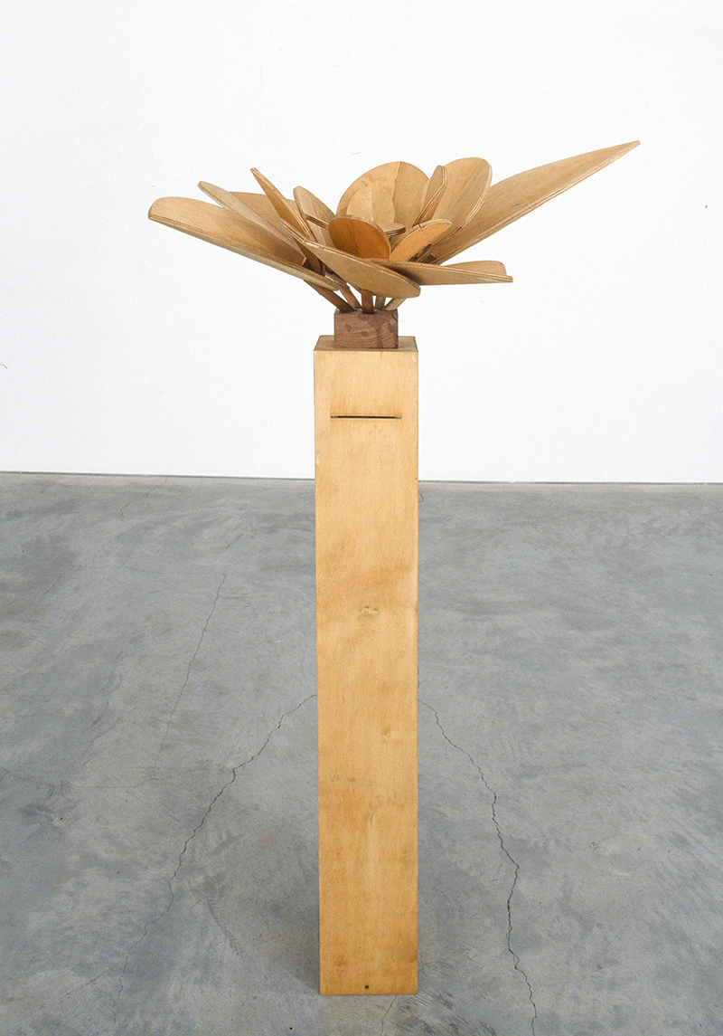 Mikala Dwyer, Flowers, Flies and Someone Else, 2004, Anna Schwartz Gallery, Melbourne