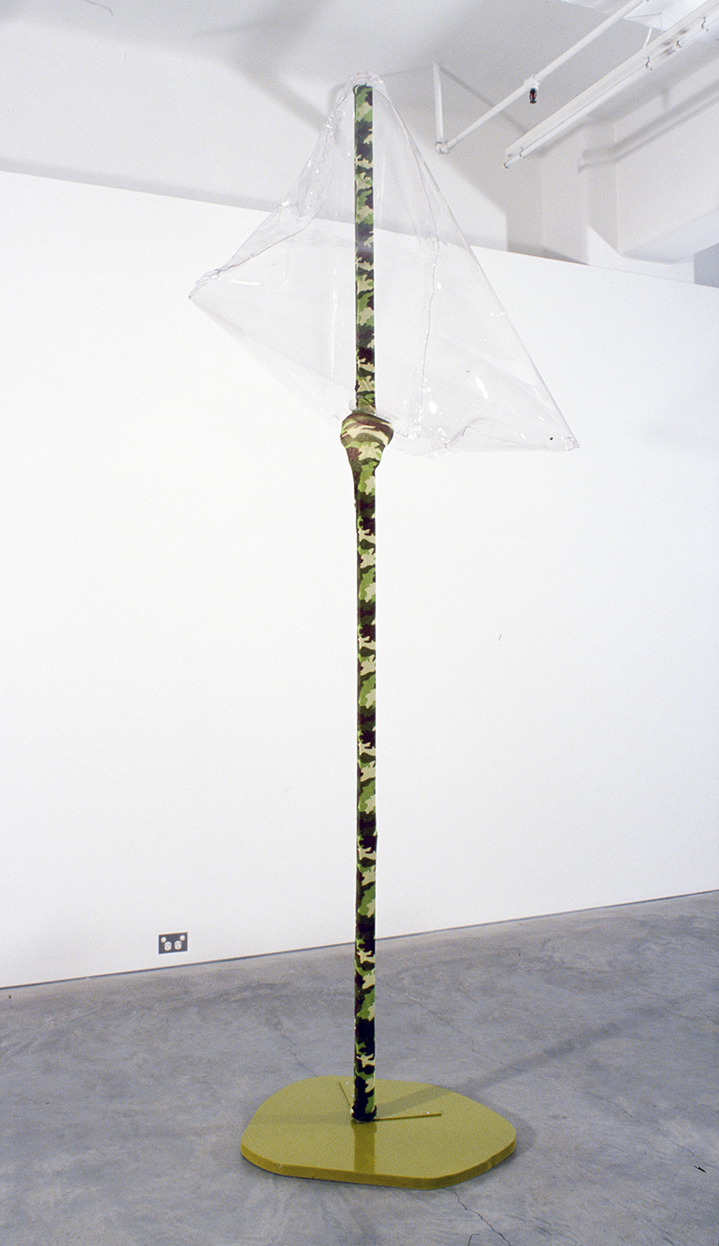 Mikala Dwyer, Flowers, Flies and Someone Else, 2004, Anna Schwartz Gallery, Melbourne