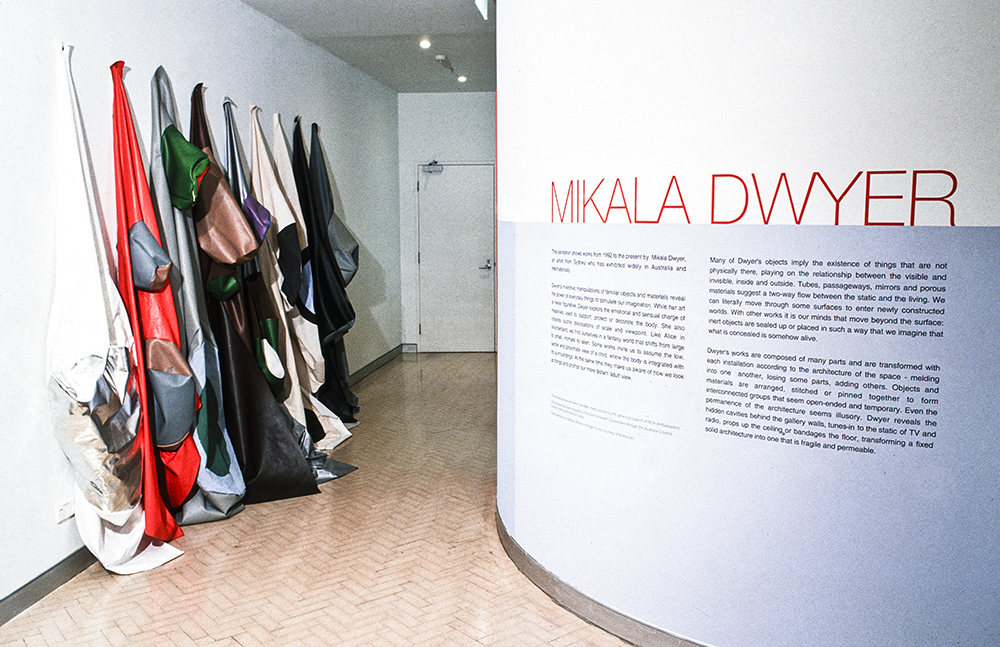 Mikala Dwyer | Museum of Contemporary Art, Sydney, 2000