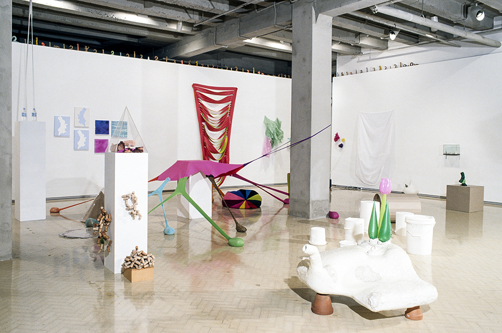 Mikala Dwyer | Museum of Contemporary Art, Sydney, 2000