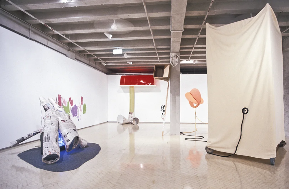 Mikala Dwyer | Museum of Contemporary Art, Sydney, 2000