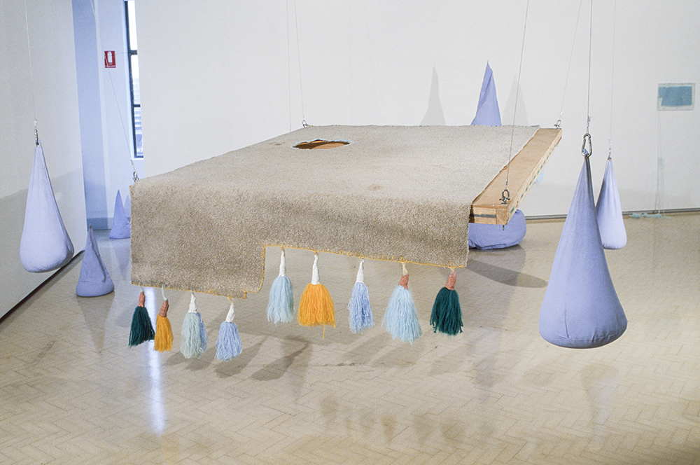 Mikala Dwyer | Museum of Contemporary Art, Sydney, 2000