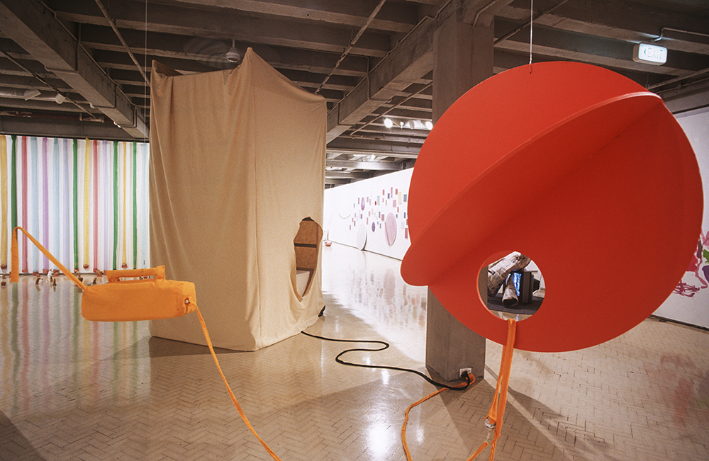 Mikala Dwyer | Museum of Contemporary Art, Sydney, 2000