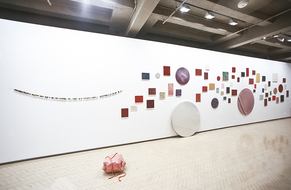 Mikala Dwyer | Museum of Contemporary Art, Sydney, 2000