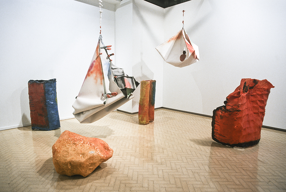 Mikala Dwyer | Museum of Contemporary Art, Sydney, 2000