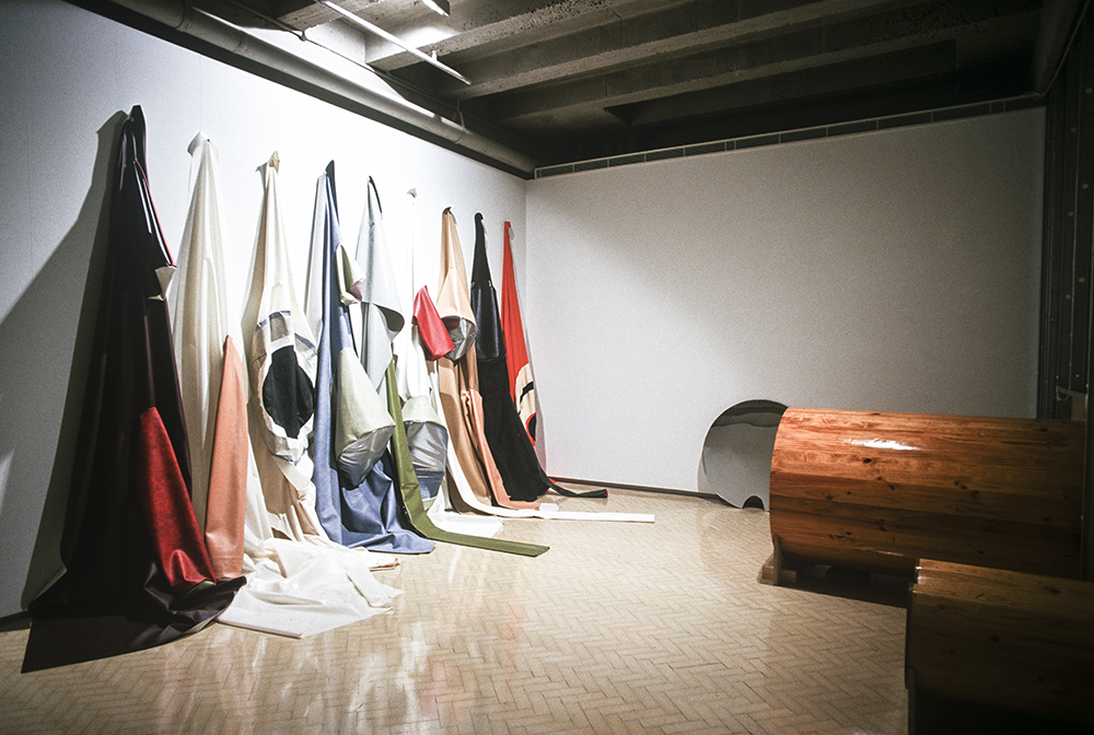 Mikala Dwyer | Museum of Contemporary Art, Sydney, 2000