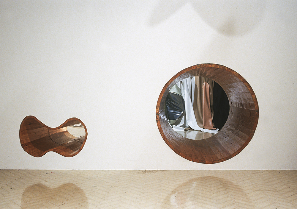 Mikala Dwyer | Museum of Contemporary Art, Sydney, 2000
