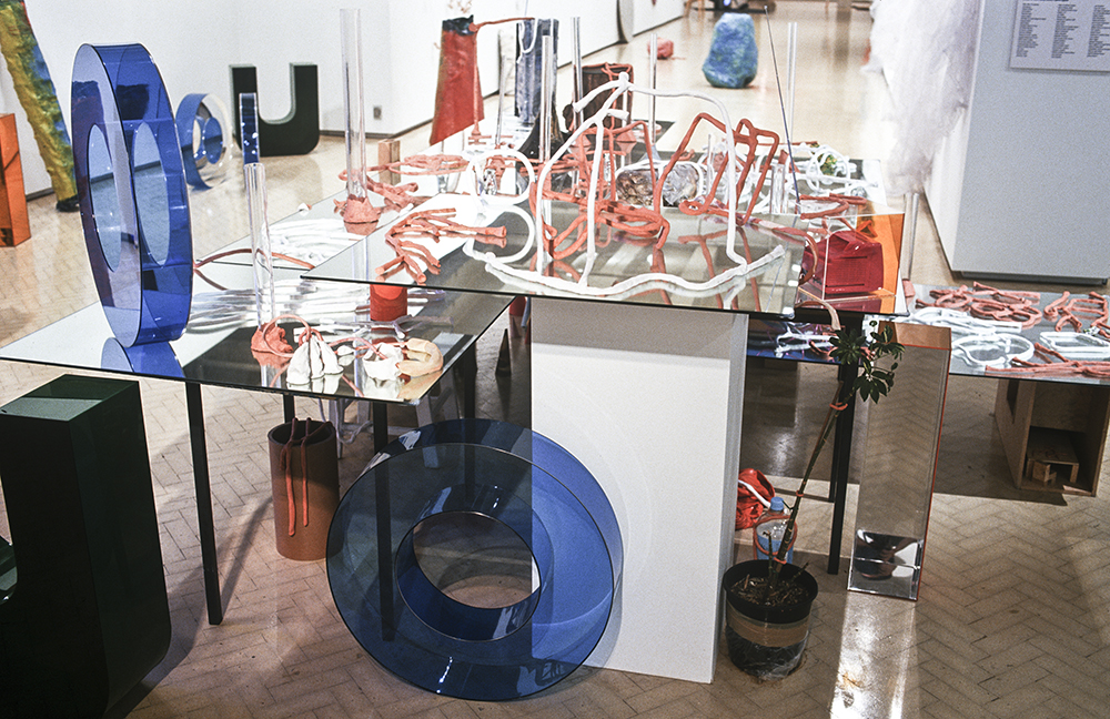 Mikala Dwyer | Museum of Contemporary Art, Sydney, 2000