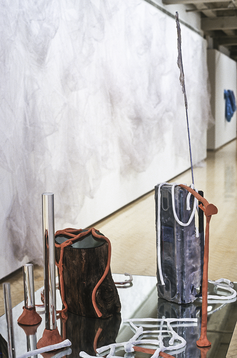 Mikala Dwyer | Museum of Contemporary Art, Sydney, 2000