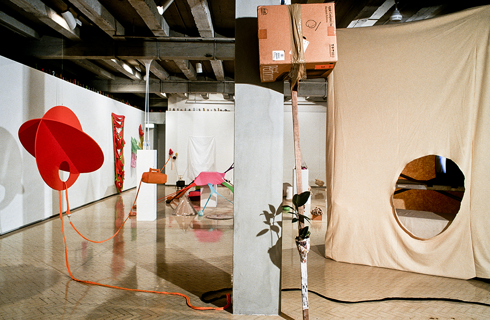Mikala Dwyer | Museum of Contemporary Art, Sydney, 2000
